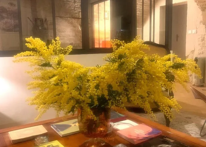 Les Voutes De Bressey, Luxe Et Calme En Hypercentre Appartamento Digione