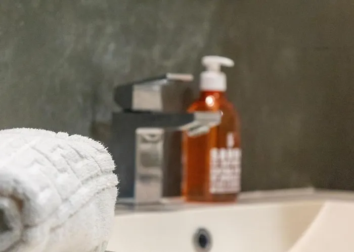 Les Voutes De Bressey, Luxe Et Calme En Hypercentre * Digione